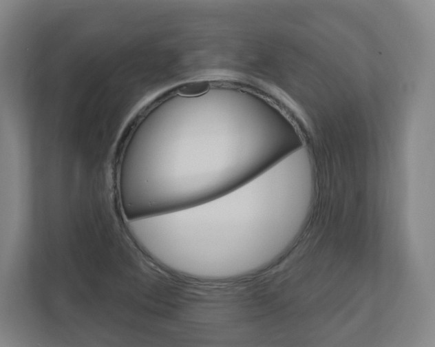X0000111041364200906251129