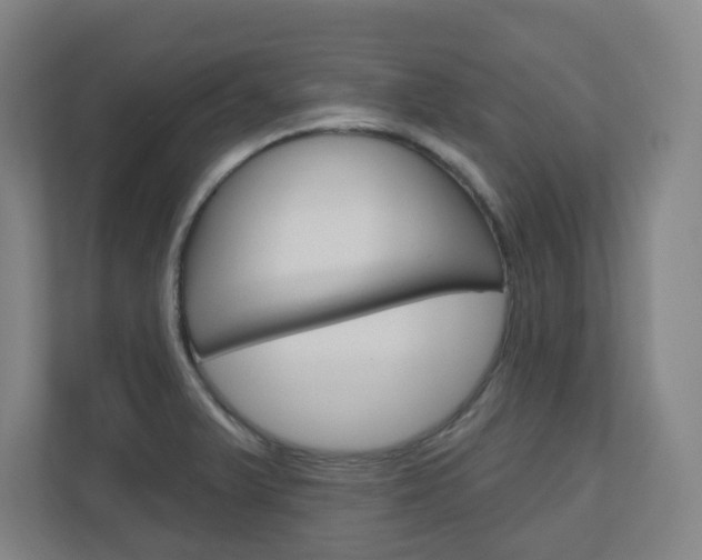 X0000111041375200906251129