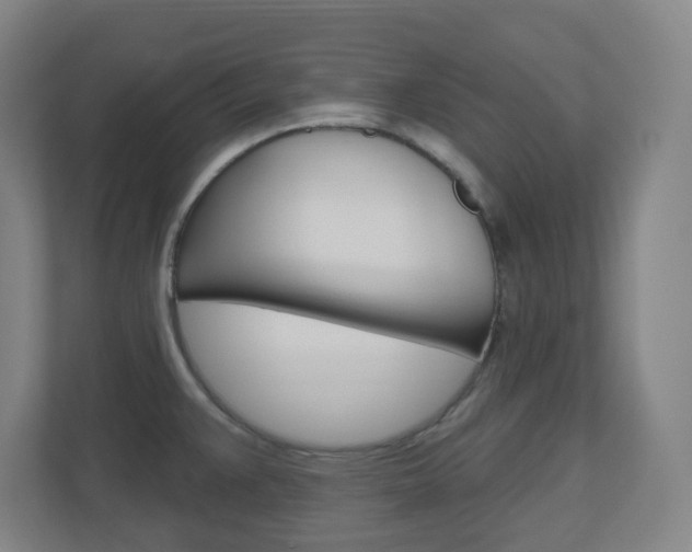 X0000111041383200906251129