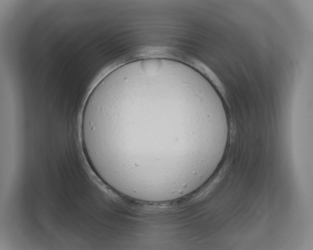 X0000111041386200906251129