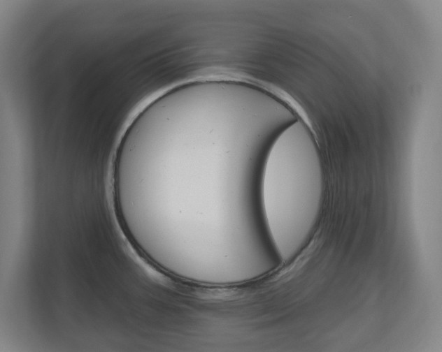 X0000111041387200906251129