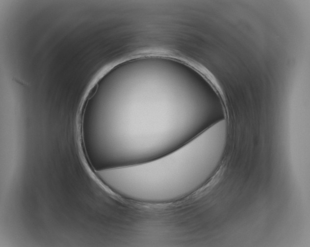 X0000111041389200906251129