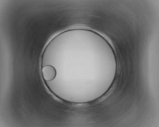 X0000111041390200906251129
