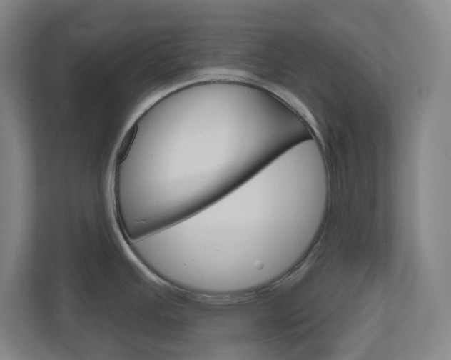 X0000111041391200906251129
