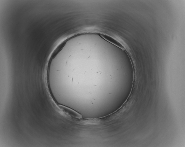X0000111041392200906251129