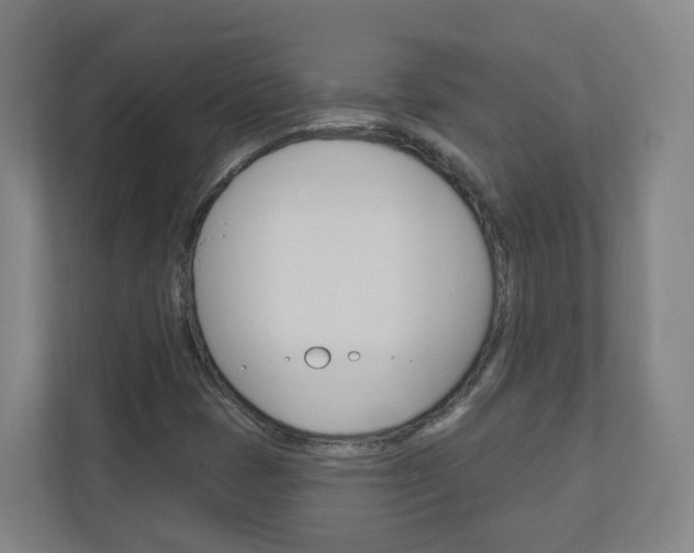 X0000111041401200906251128