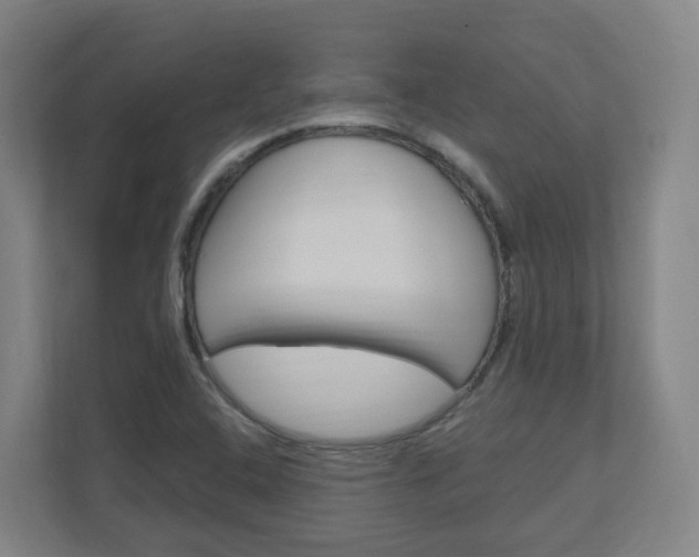 X0000111041408200906251128