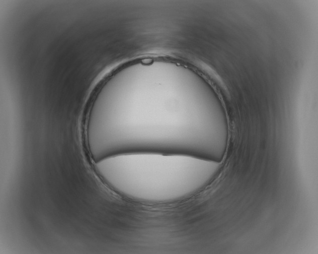 X0000111041412200906251128