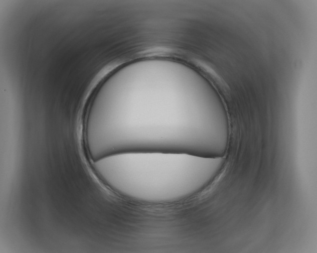 X0000111041418200906251129