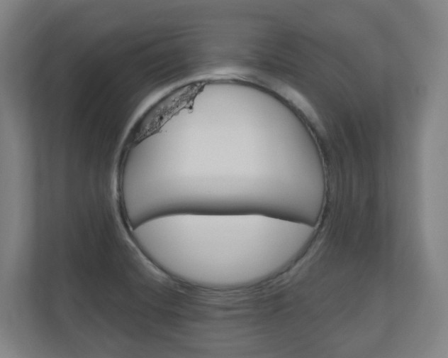 X0000111041420200906251129