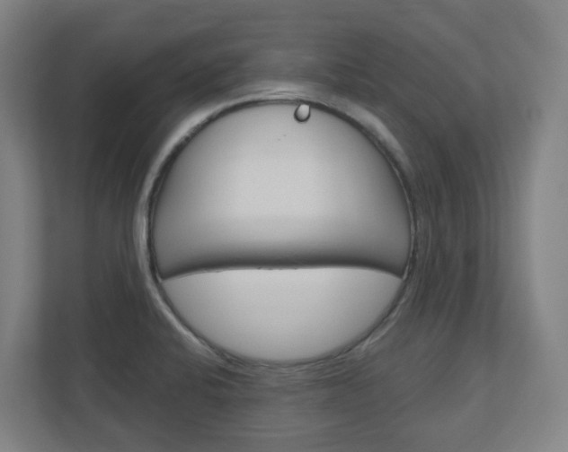 X0000111041424200906251129