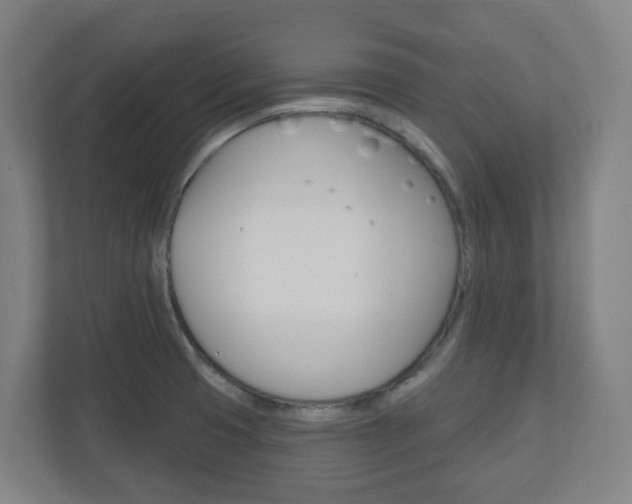 X0000111041425200906251129