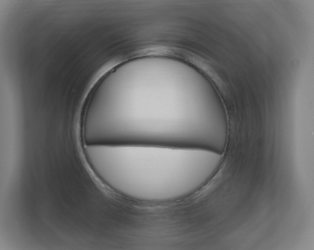 X0000111041426200906251129