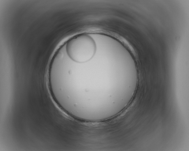 X0000111041432200906251129