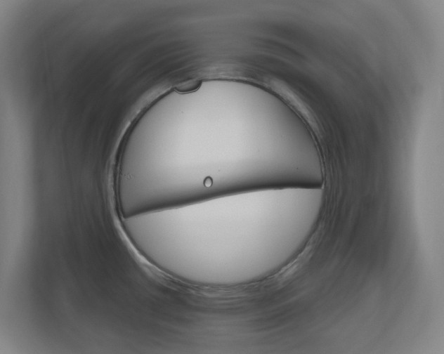 X0000111041434200906251129