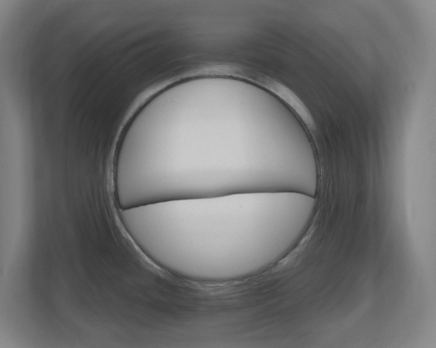 X0000111041436200906251129