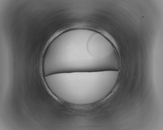 X0000111041437200906251129