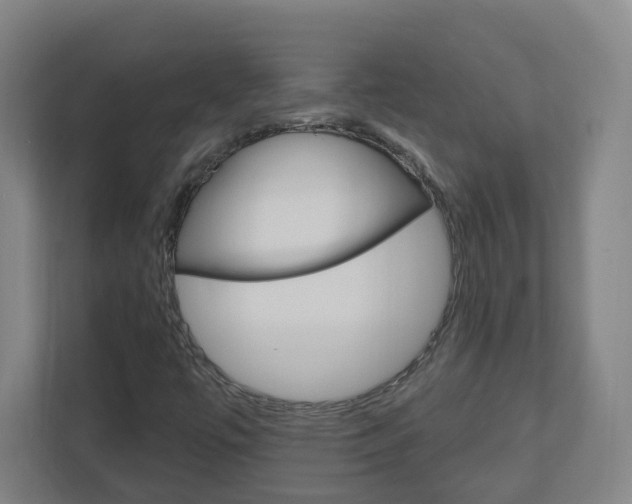 X0000111041447200906251128