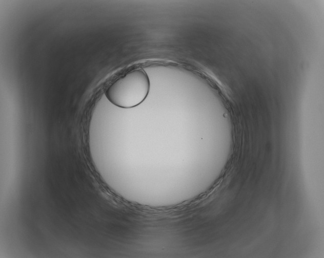 X0000111041448200906251128