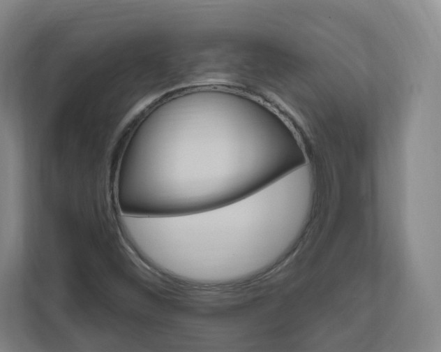 X0000111041452200906251128