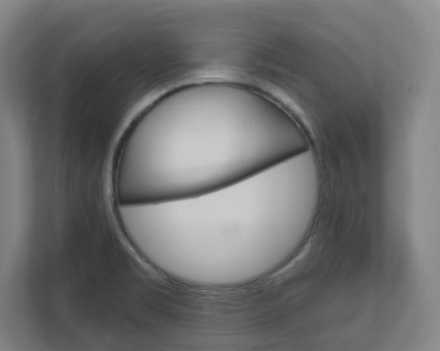 X0000111041469200906251128