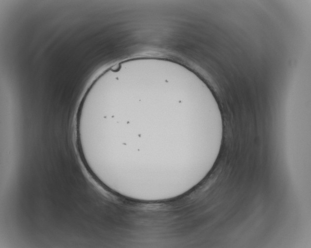 X0000111041479200906251128