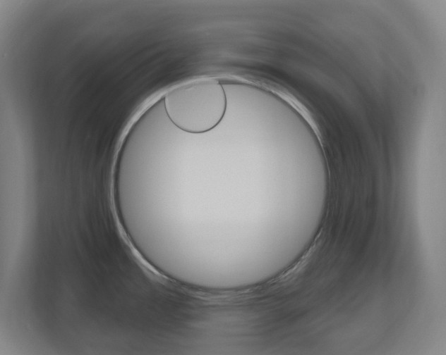 X0000111041485200906251128