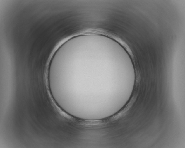 X0000111041486200906251128