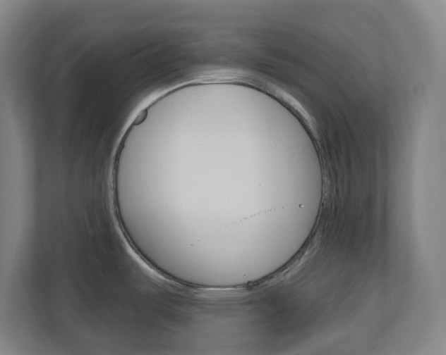 X0000111041487200906251128