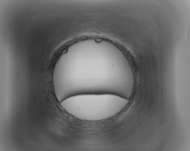 X0000111041494200906251127