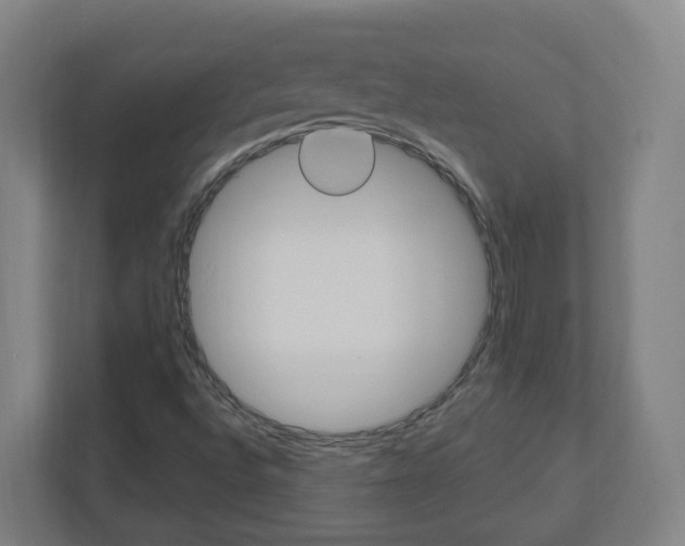 X0000111041496200906251127