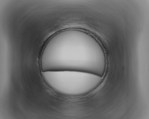 X0000111041497200906251127