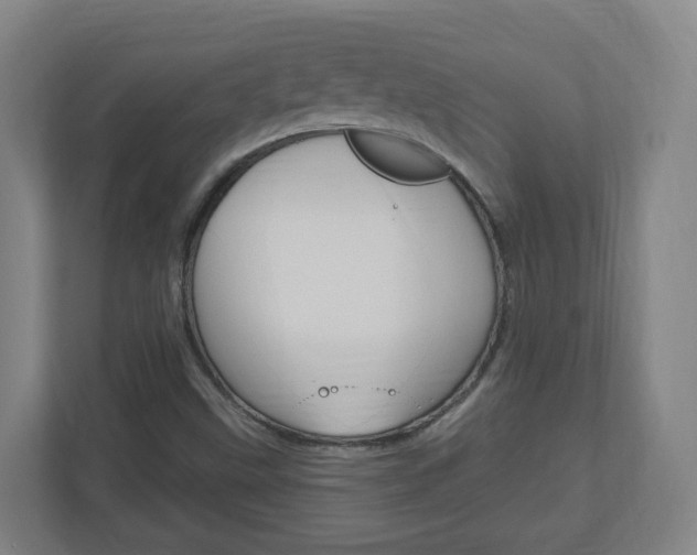 X0000111041499200906251127