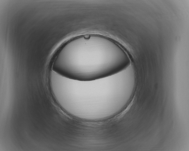 X0000111041502200906251127