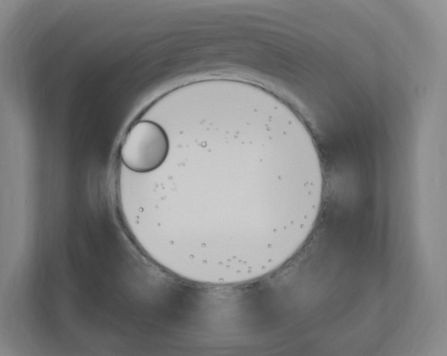 X0000111041514200906251127