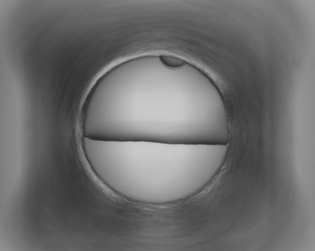X0000111041526200906251127