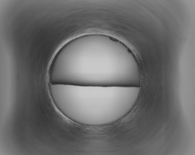 X0000111041527200906251127