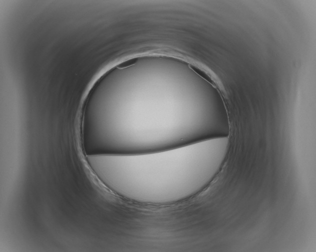 X0000111041530200906251127