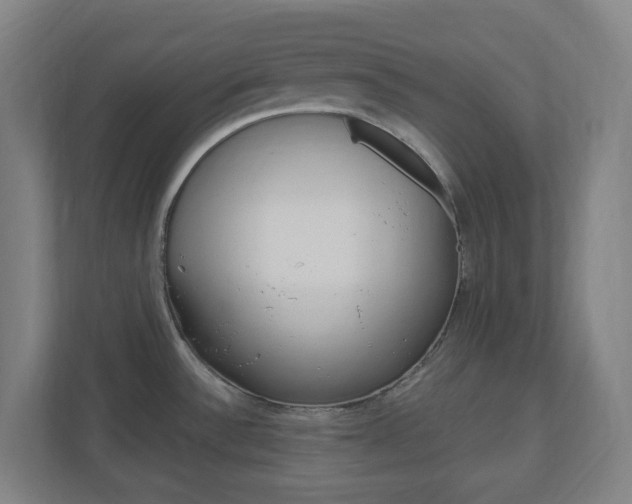 X0000111041532200906251128