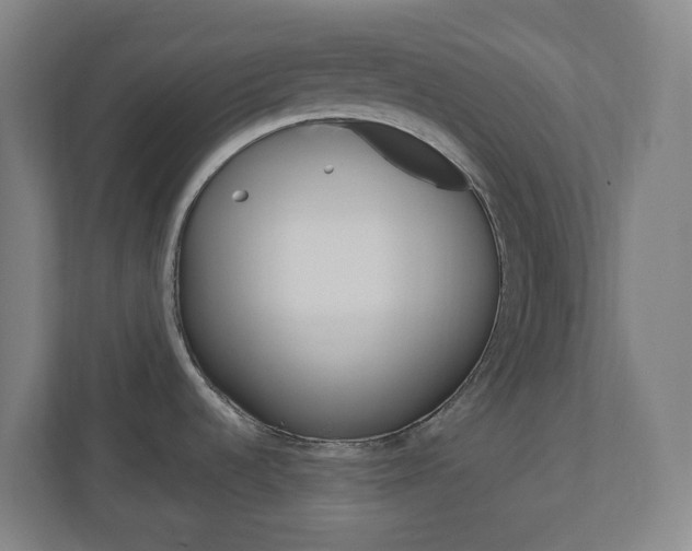 X0000111041536200906251128