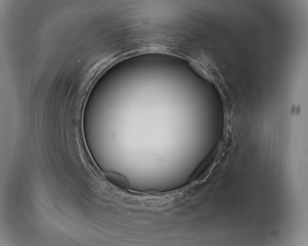 X0000111040001200906251413
