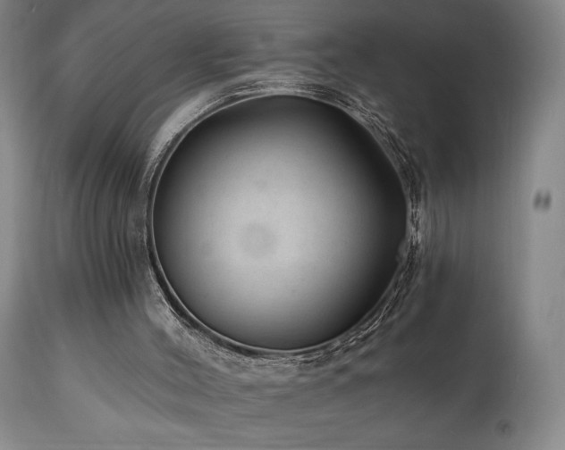 X0000111040004200906251412