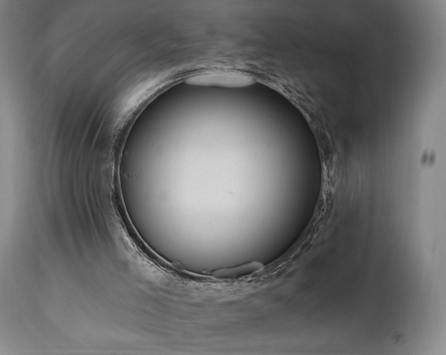 X0000111040005200906251412