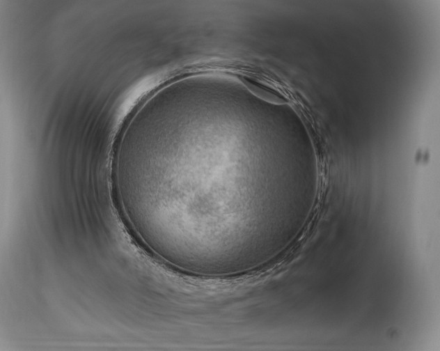 X0000111040006200906251412