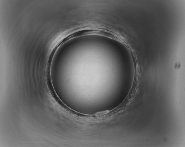 X0000111040007200906251412