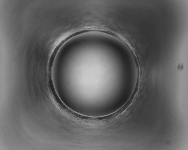 X0000111040008200906251412