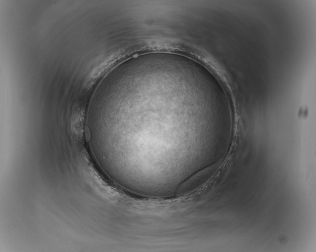 X0000111040009200906251412