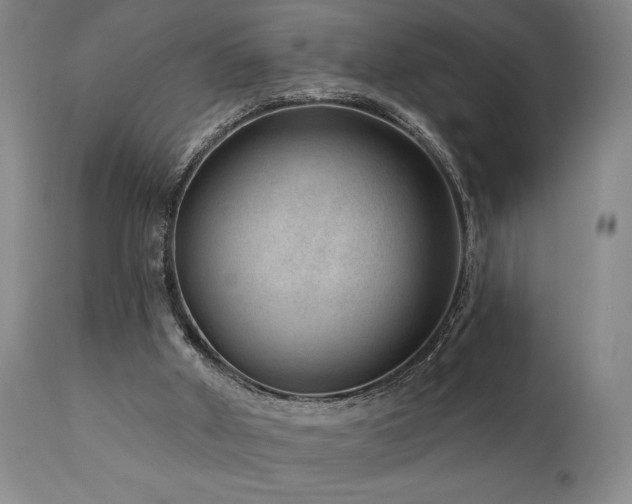 X0000111040010200906251412