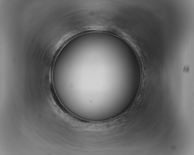 X0000111040011200906251412