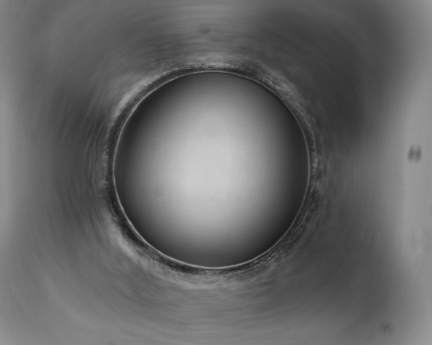 X0000111040012200906251412